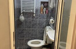 Apartament 2 camere, 28mp, Dobroesti