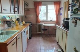 Apartament cu 2 camere, decomandat, 52mp, Tineretului 