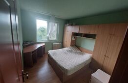 Apartament 3 camere, decomandat, 60 mp, zona Titan- Piata Minis