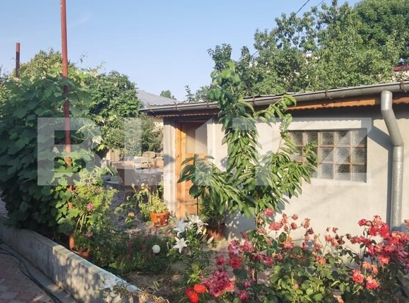 Casa de vânzare 3 camere Colentina - 119325CV | BLITZ București | Poza5