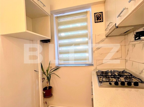 Garsoniera de inchiriat zona Tei, Garsoniera de inchiriat Doamna Ghica | Poza9