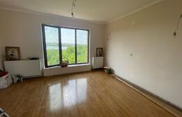 Vila 5 camere, 164 mp utili, 385 mp teren, Pantelimon 