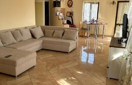 Casa de vacanta P+1E, 4 camere, 200mp utili, 6000mp teren, Giurgiului