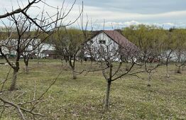 Casa de vacanta P+1E, 4 camere, 200mp utili, 6000mp teren, Giurgiului