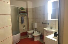 Casa de vacanta P+1E, 4 camere, 200mp utili, 6000mp teren, Giurgiului