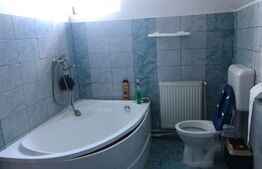 Casa de vacanta P+1E, 4 camere, 200mp utili, 6000mp teren, Giurgiului