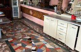 Casa de vacanta P+1E, 4 camere, 200mp utili, 6000mp teren, Giurgiului