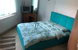 Casa de vacanta P+1E, 4 camere, 200mp utili, 6000mp teren, Giurgiului