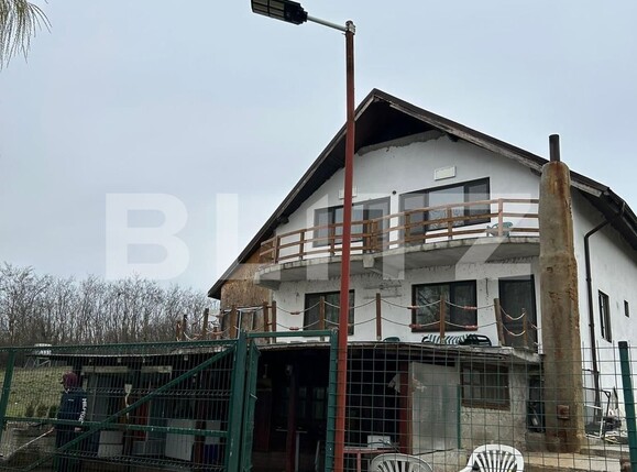 Casa de vânzare 4 camere Giurgiului - 119967CV | BLITZ București | Poza5