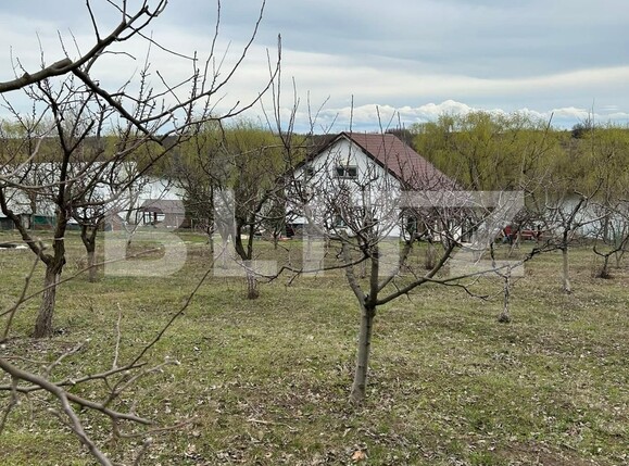 Casa de vânzare 4 camere Giurgiului - 119967CV | BLITZ București | Poza7