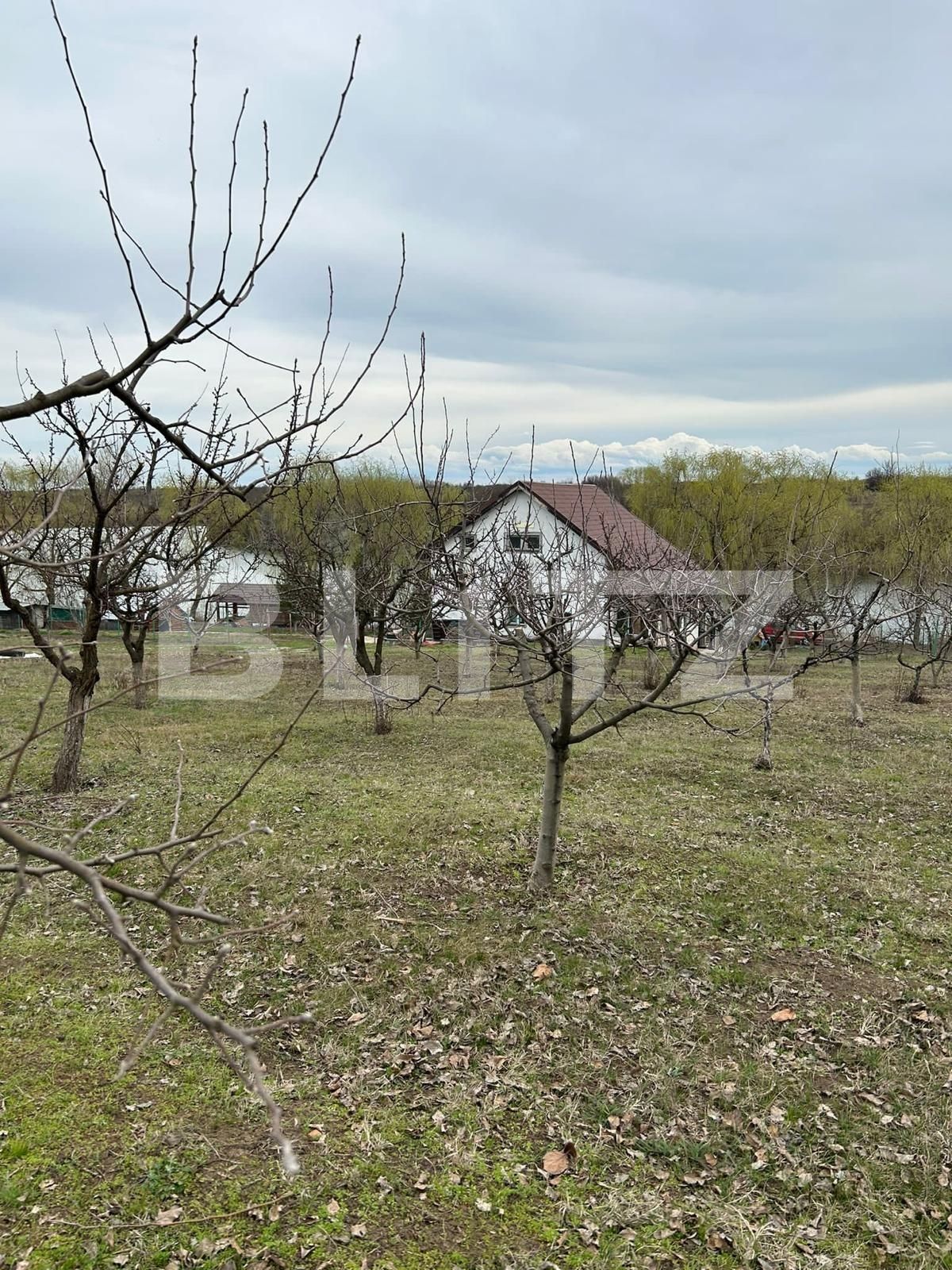 Casa de vânzare 4 camere Giurgiului - 119967CV | BLITZ București | Poza7