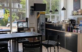 O oportunitate excelenta| Spatiu comercial 