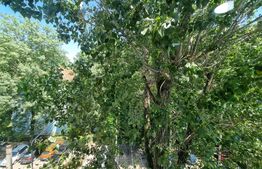 Garsoniera, 15mp, mobilata si utilata, zona Bucrestii Noi