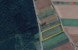 Teren intravilan, 1015mp, cartier Branesti