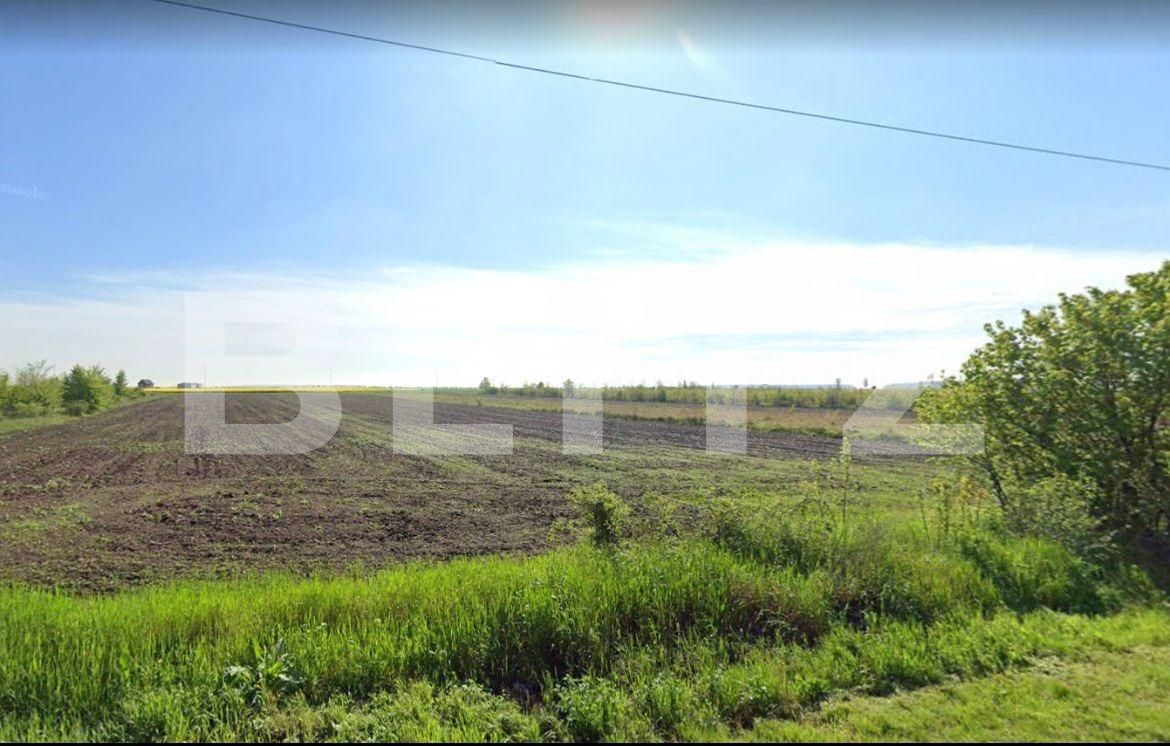 Teren de vânzare Branesti - 121188TV | BLITZ București | Poza1