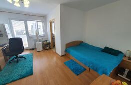 Garsonieră, 29mp, cartier Dristor