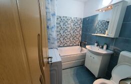 Garsonieră, 29mp, cartier Dristor