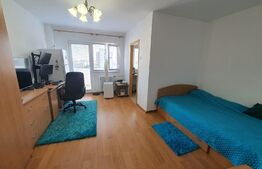 Garsonieră, 29mp, cartier Dristor