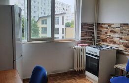 Ap 2 camere, 48 mp, et 3/4, zona Salajan/ Piata Matei Ambrozie