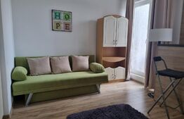 Vanzare urgenta! Garsoniera nemobilata, 28mp, zona Bucurestii Noi