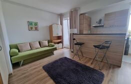 Vanzare urgenta! Garsoniera nemobilata, 28mp, zona Bucurestii Noi