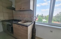 Vanzare urgenta! Garsoniera nemobilata, 28mp, zona Bucurestii Noi