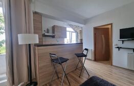 Vanzare urgenta! Garsoniera nemobilata, 28mp, zona Bucurestii Noi