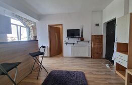 Vanzare urgenta! Garsoniera nemobilata, 28mp, zona Bucurestii Noi