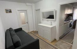 Studio, 43mp, cartier Aviatiei 