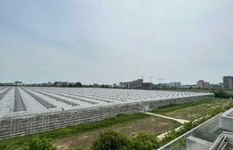 Apartament 3 camere, 78mp, cartier Pipera