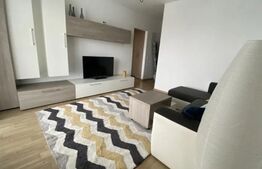 Apartament 2 camere, 55 mp, zona Tineretului