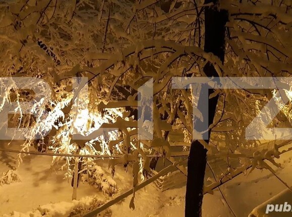 Apartament de vânzare 3 camere Bucurestii Noi - 124236AV | BLITZ București | Poza2