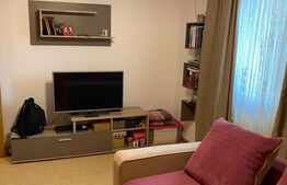 Apartament 1 camere, 28 mp, zona Pajura