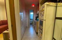 Apartament 1 camere, 28 mp, zona Pajura