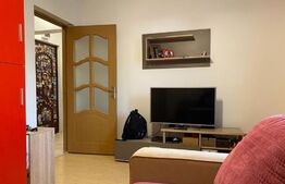 Apartament 1 camere, 28 mp, zona Pajura