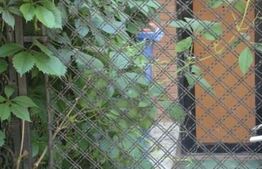 Apartament 1 camera, 14mp, cartier Dorobanti