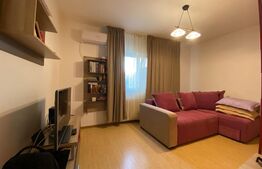 Apartament 1 camera, 28mp, cartier Pajura