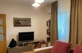 Apartament 1 camera, 28mp, cartier Pajura