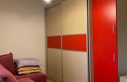 Apartament 1 camera, 28mp, cartier Pajura