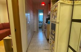 Apartament 1 camera, 28mp, cartier Pajura