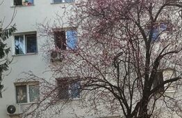 Garsoniera, 15mp, cartier Ozana