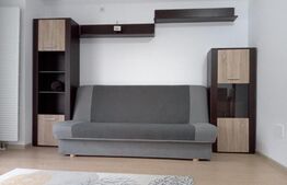 Garsoniera, 45 mp, Theodor Pallady