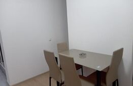 Garsoniera, 45 mp, Theodor Pallady