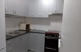 Garsoniera, 45 mp, Theodor Pallady