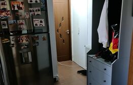 Apartament 2 camere, 45mp, cartier Ozana 