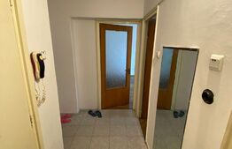 Apartament 1 camera, 32mp, cartier Dristor