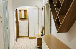 Apartament de 2 camere, 53 mp, zona Calea Vacaresti