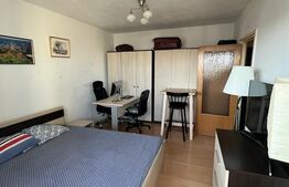 Garsoniera, decomandata, 30mp, zona Nicolae Titulescu