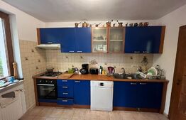 Casa 5 camere, 300 mp, teren, 750 mp, la 30m de lac, Mogosoaia