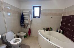 Casa 5 camere, 300 mp, teren, 750 mp, la 30m de lac, Mogosoaia